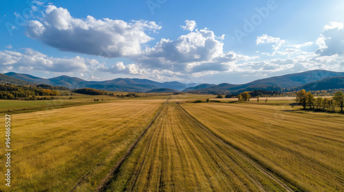 Golden fields and deep blue sky – autumn highlights its colors and contrasts with vivid tones.