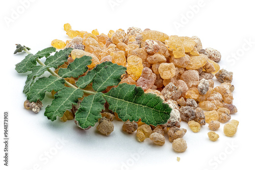 Frankincense (Boswellia sacra), Burseraceae. Resin. deciduous tree, plant of ethnic interest,
