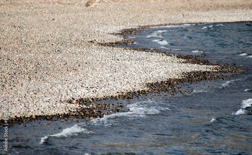 lake shore in Los Alerces National Park, Esquel photo