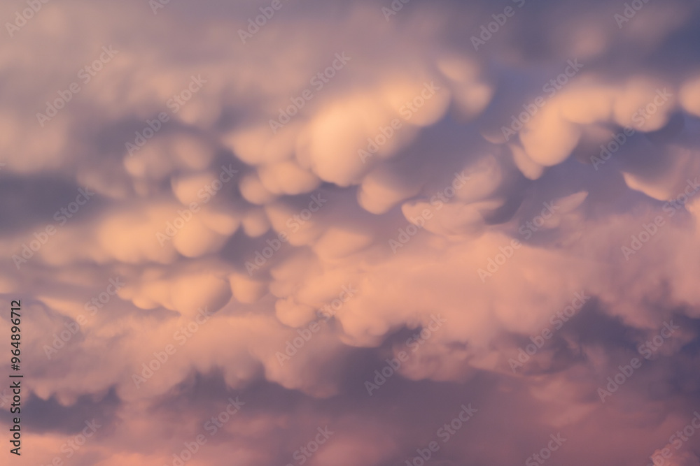 Obraz premium ciel rose composé de nuages ronds particuliers , le mammatus