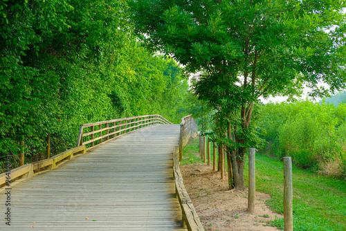 Scenes Along the Greeway Walking Trail in Forsyth County Georgia photo
