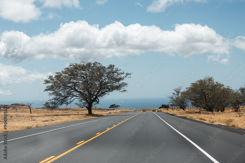 Fototapeta premium on the road