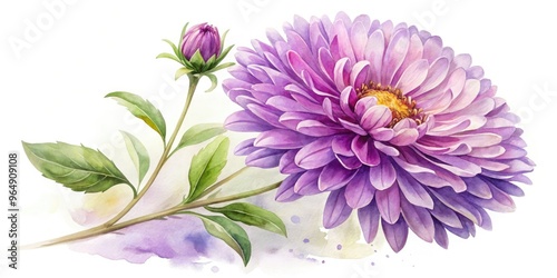 Delicate, dreamy watercolor illustration of a vibrant purple aster flower, soft petals and delicate stem surrounded by subtle, blended brushstrokes on a creamy white background.