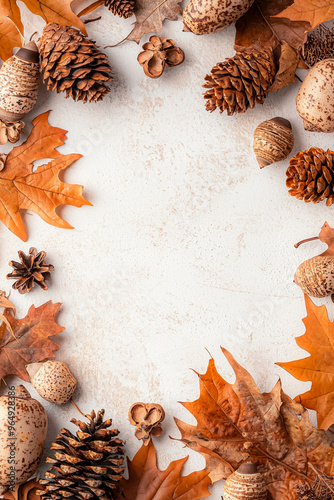 A white background with a frame of autumn leaves and pine cones