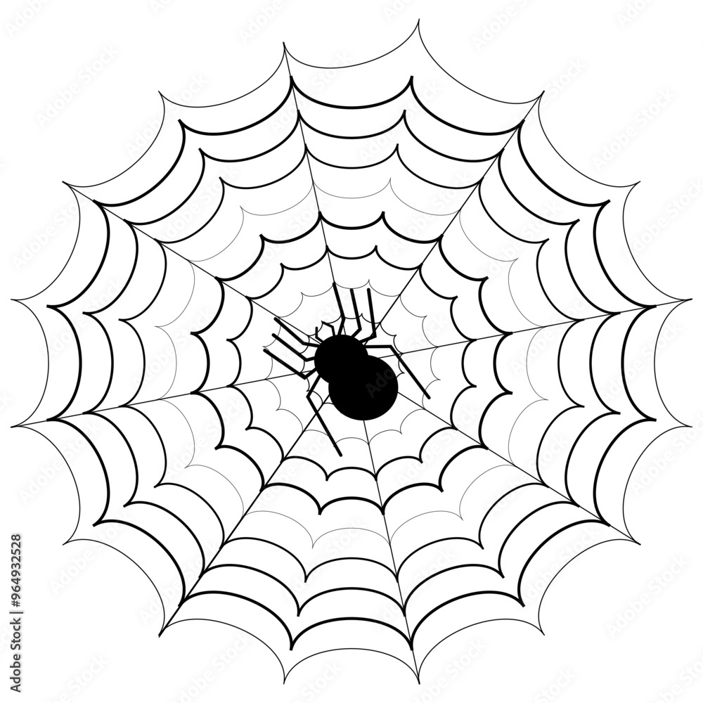 Teia de aranha em fundo branco