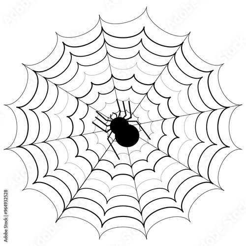 Teia de aranha em fundo branco