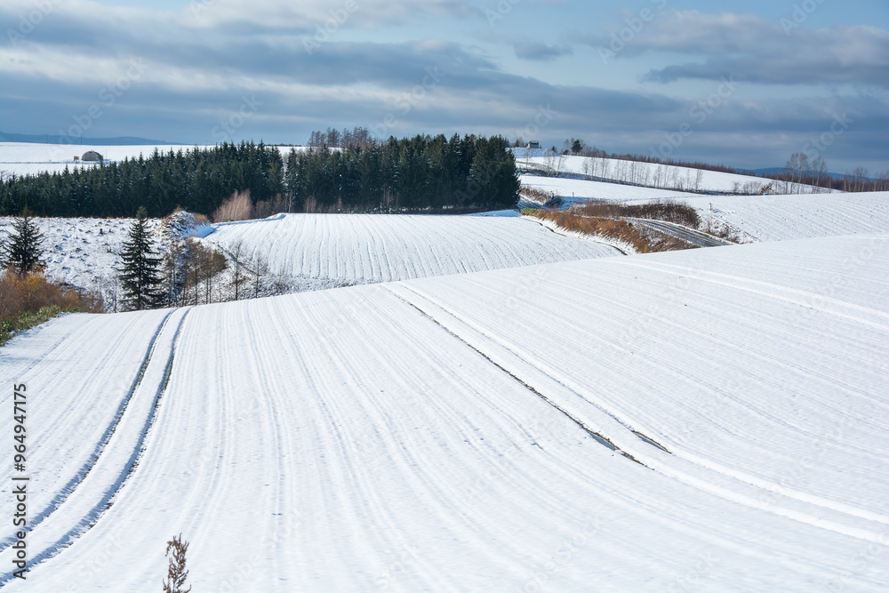 Fototapeta premium 雪に覆われた初冬の畑 