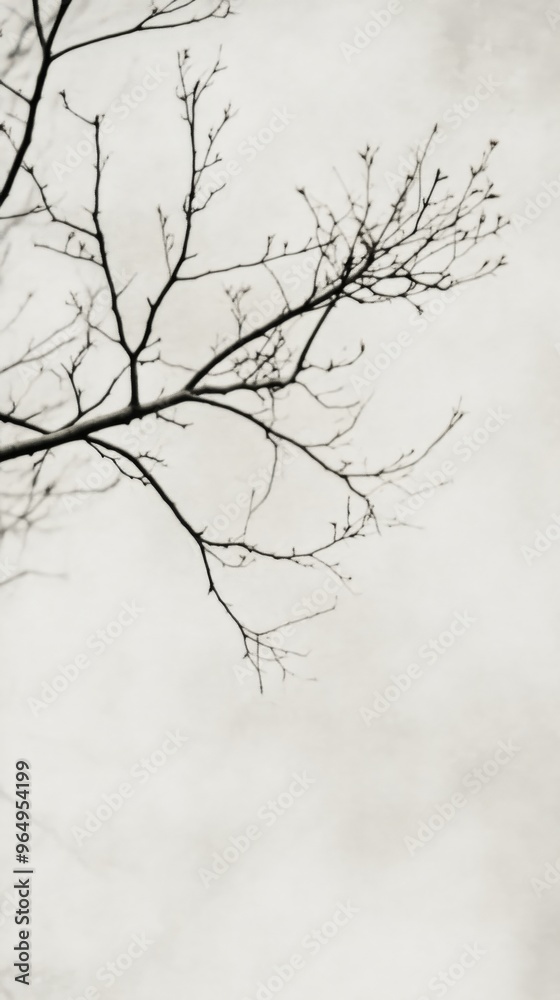 Bare tree branch against cloudy sky, minimalist nature scene Bare tree branch against cloudy sky, minimalist nature scene