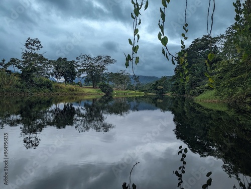 reflection of a tree in the water
