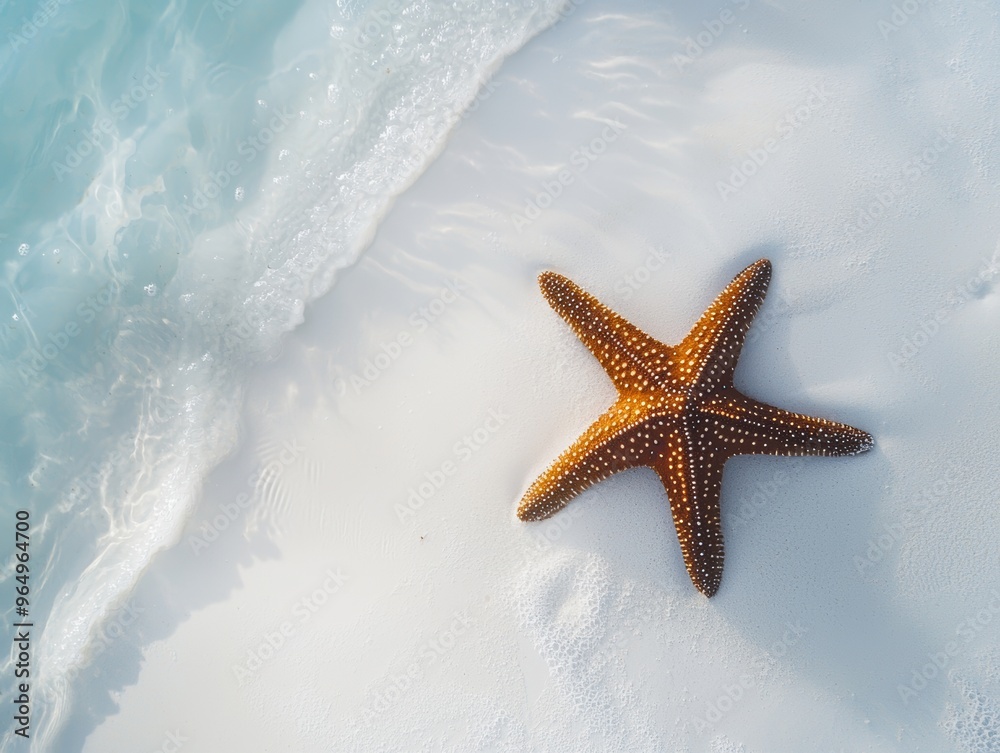 starfish on white sand beach blue ocean - ai starfish on white sand beach blue ocean - ai