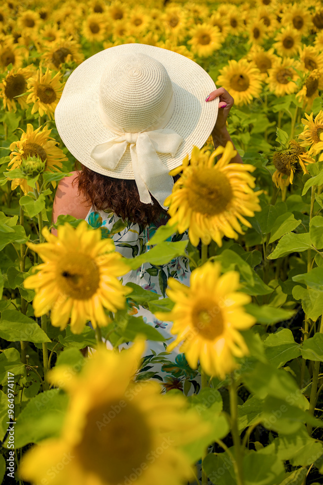 girl in the field of sunflowers