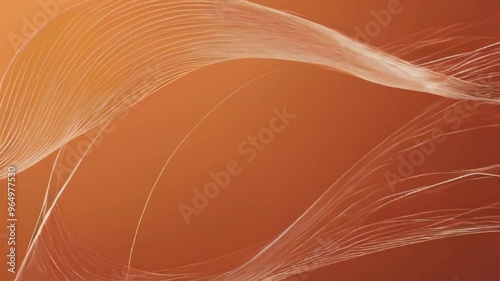 abstract wireframe Modern wave curve autumn color background, motion