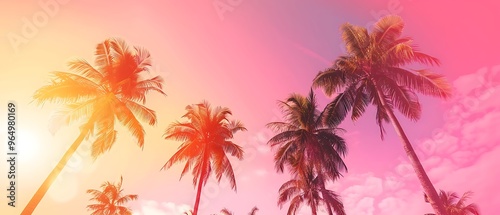 Serene tranquil tropical trees background concept. Coconut palms peaceful sunset sky. Exotic picturesque nature, colorful leaves, natural landscape. Summer tropical island holiday or vacation pattern.