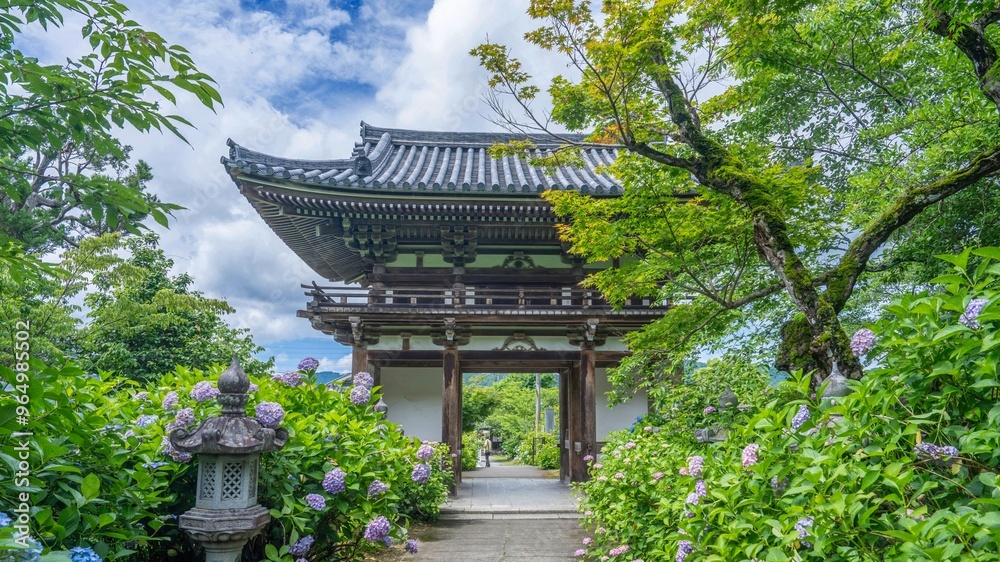 満開のアジサイに囲まれた山門の情景