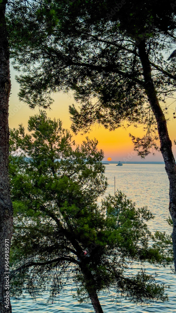 Sunset view through trees with the sea on the horizon and soft sky tones Sunset view through trees with the sea on the horizon and soft sky tones