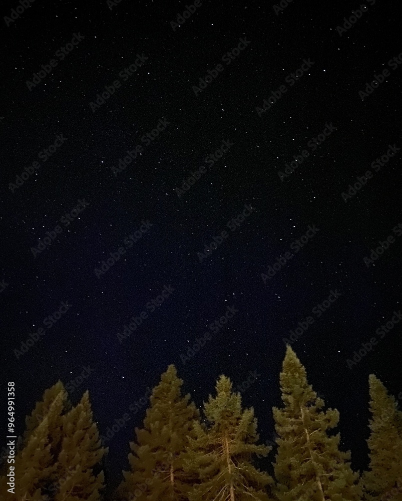 Fototapeta premium starry sky