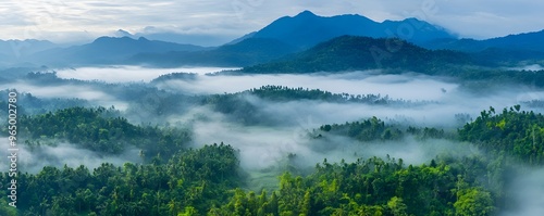 Misty Morning in a Lush Green Mountain Valley