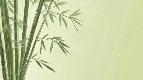 bamboo background with bamboo photo