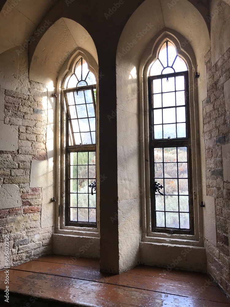 Fototapeta premium Windows