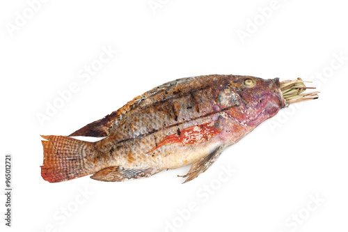 Grilled tilapia with herbs isolated on white background.