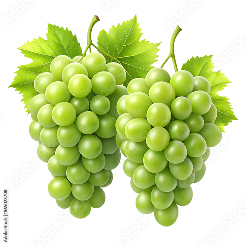 bunch of green grapes  isolated on transparent background png