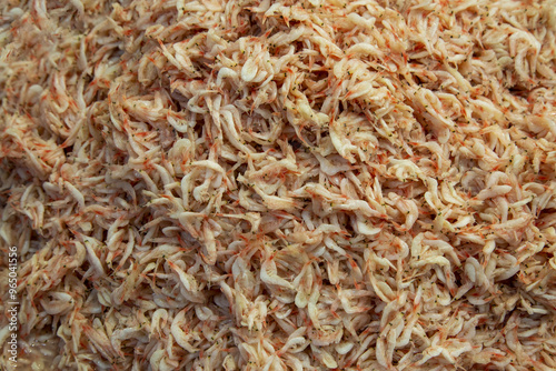 Salted shrimp for sale at a fish market near Seoul, South Korea  photo