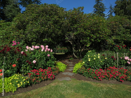 Stanley Park Rose Garden - Vancouver, British Columbia