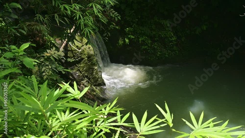 Small cascade under green plants in rainforest. Water stream flowing through mossy rocks into a little natural emerald pond under sunlight in the jungle. Beauty in nature.