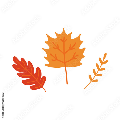 Foliage Autumn Leaf Illustration