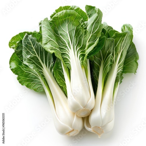 Bunch of fresh Chinese broccoli leaves ready to cook.