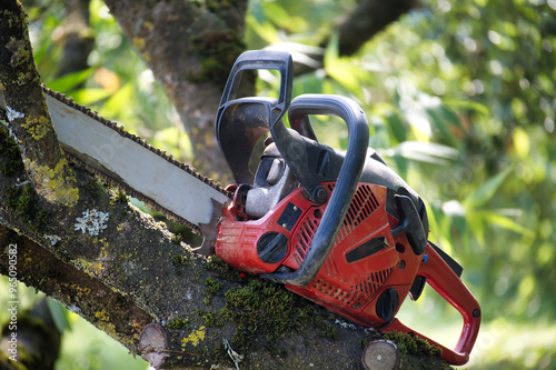 Wallpaper Mural Red chainsaw on a tree branch in a sunny outdoor setting Torontodigital.ca