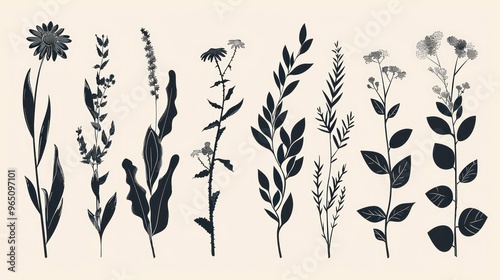 Black silhouette of 8 different botanical floral plants with flowers and leaves on an off-white background.