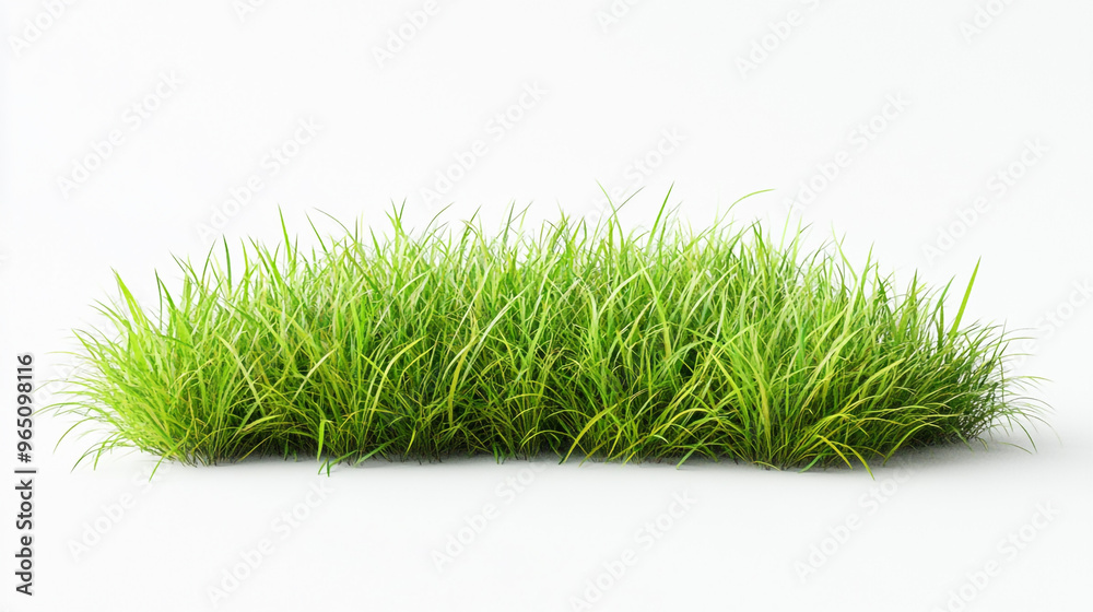 Lush green grass patch illustrating vibrant natural growth in a bright, sunlit environment Lush green grass patch illustrating vibrant natural growth in a bright, sunlit environment
