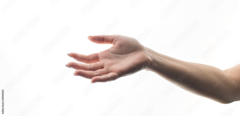 female hand is open and holding reaching something or gives some object. hands showing isolated on white background. product presentation concept advertising. female hand is open and holding reaching something or gives some object. hands showing isolated on white background. product presentation concept advertising.