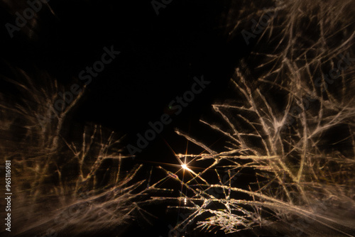 An artistic projection of tree branches creates a striking abstract pattern against a dark background, with a bright starburst light in the center, adding depth and contrast to the scene.