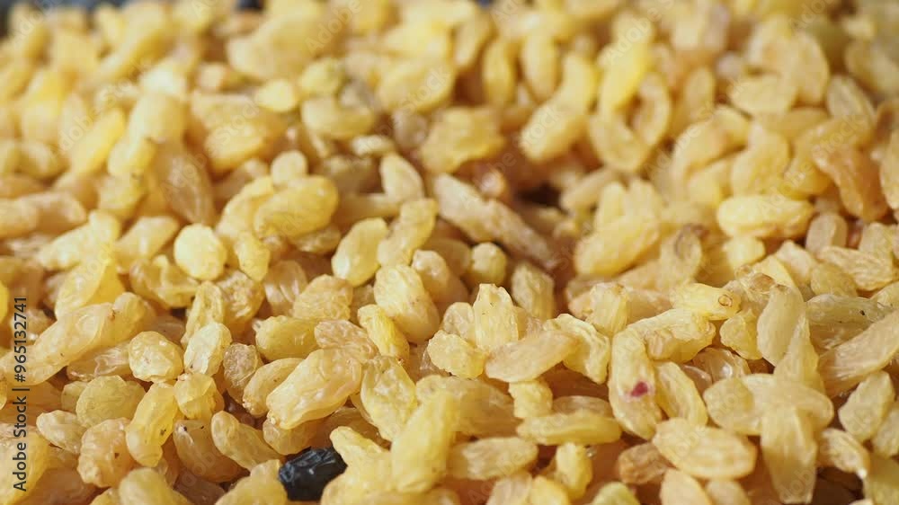 A closeup view showcasing the texture of raw golden rice grains for better appreciation A closeup view showcasing the texture of raw golden rice grains for better appreciation