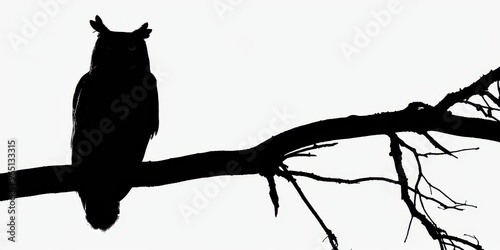 A dark silhouette of an owl perched on a branch against a stark white background at twilight photo