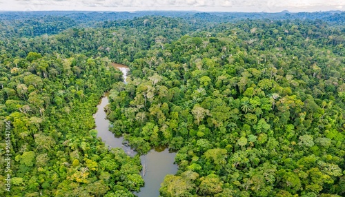 The forest is dense and lush, showing natural views with tall trees and dense plants, generative ai photo