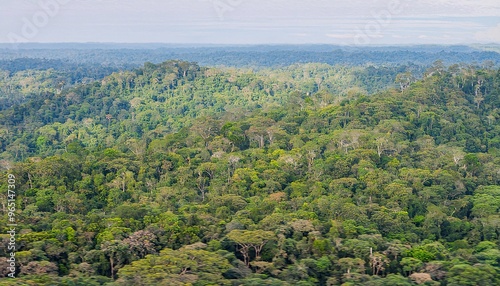 The forest is dense and lush, showing natural views with tall trees and dense plants, generative ai photo