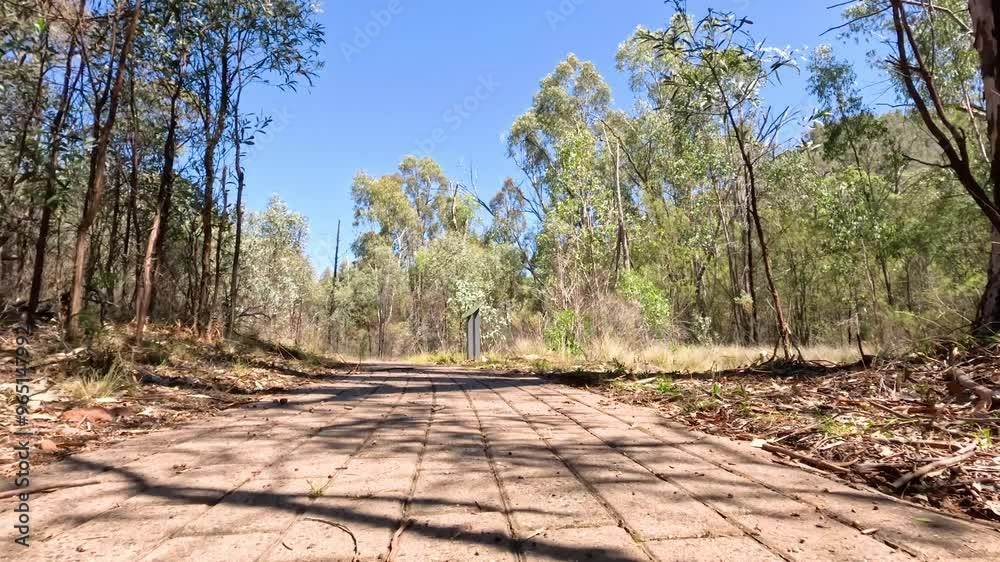 Forest Trail in Coonabarabran, Australia