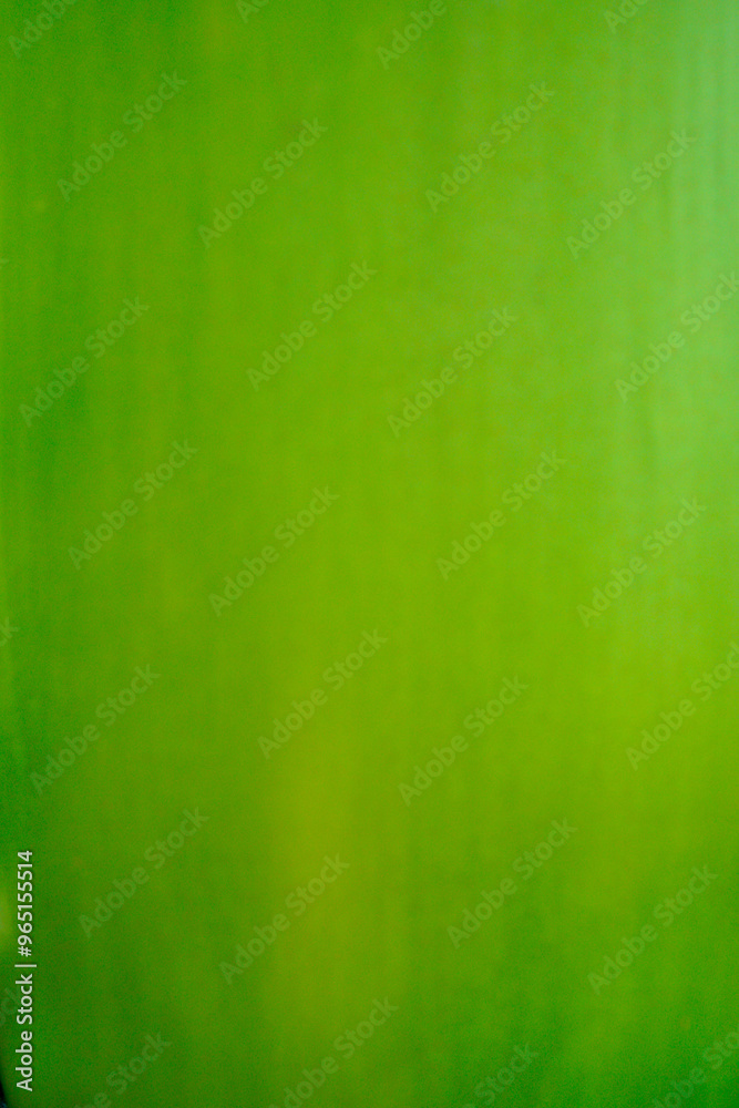 Green abstract background Green abstract background