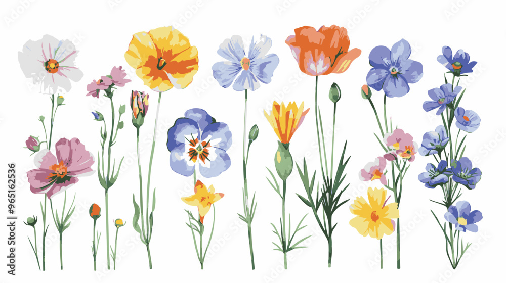 set of pencil style colorful birth flowers on a white background set of pencil style colorful birth flowers on a white background