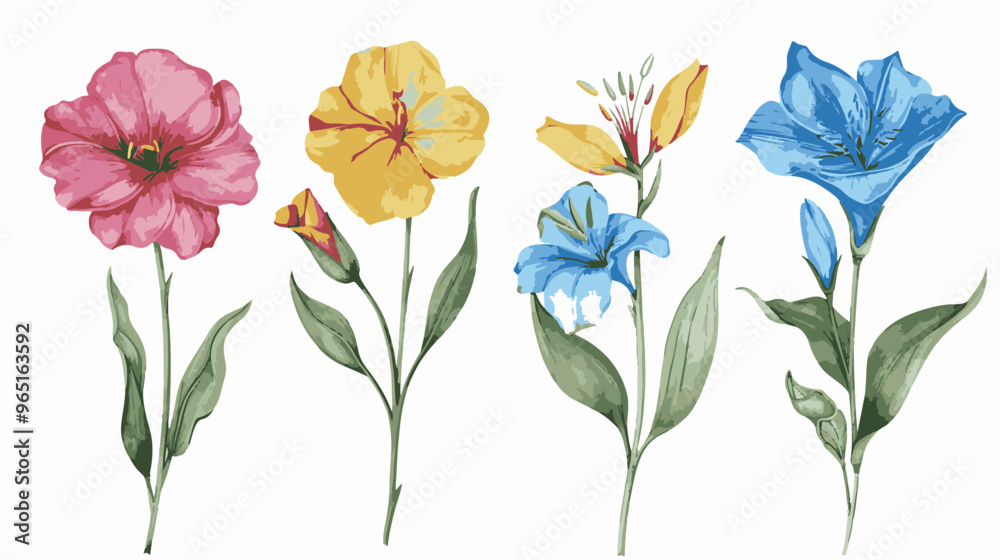 set of pencil style colorful birth flowers on a white background set of pencil style colorful birth flowers on a white background