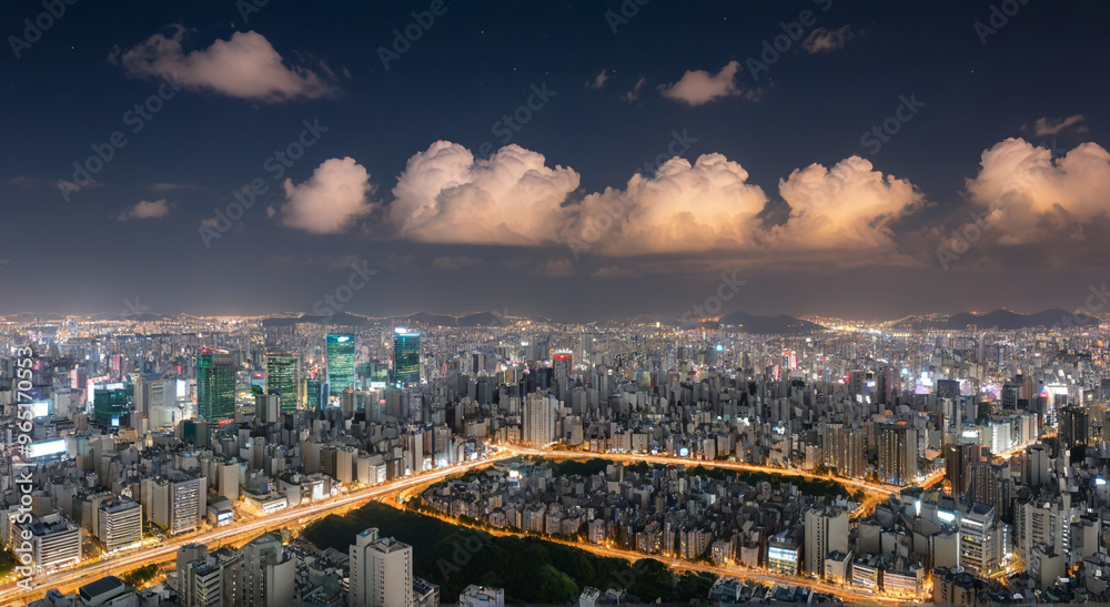 Obraz premium night city view