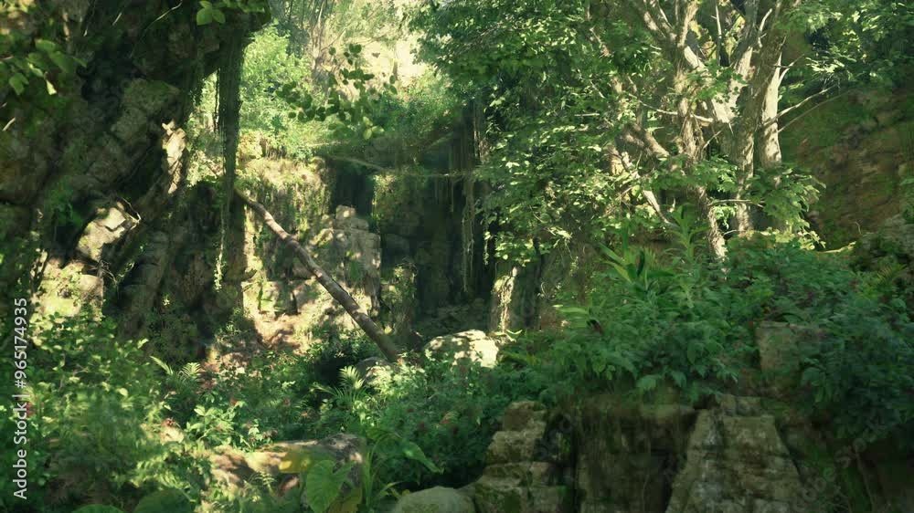 A vibrant and dense forest with a multitude of trees. mountain path