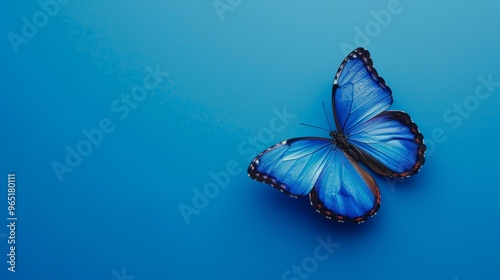 Close-up of a vibrant butterfly resting on a blue hd 8k wallpaper, detailed macro photography of colorful insect with soft focus background, ideal for nature and wildlife themes photo