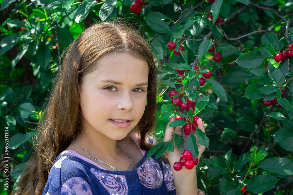 Cute girl with a beautiful sour cherry branch in orchard. Cute girl with a beautiful sour cherry branch in orchard.
