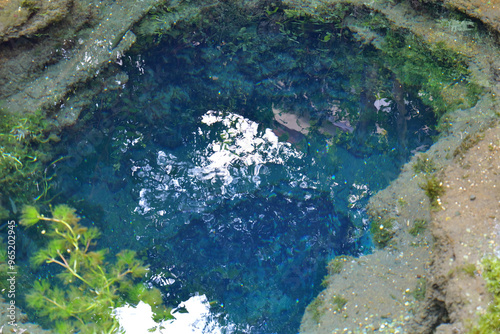 忍野八海のお釜池
