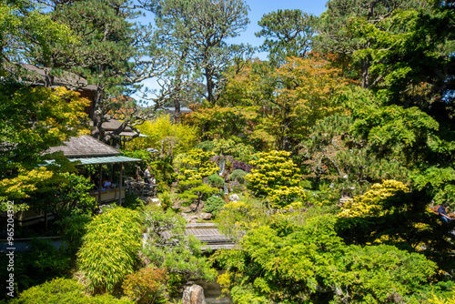 Japanese Tea Garden San Francisco colorful wooden pagoda and surrounding trees.