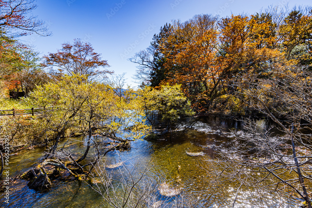 栃木県 日光の紅葉風景
栃木県 日光の紅葉風景